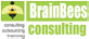 Training Institute-BrainBees Consulting Pvt. Ltd .